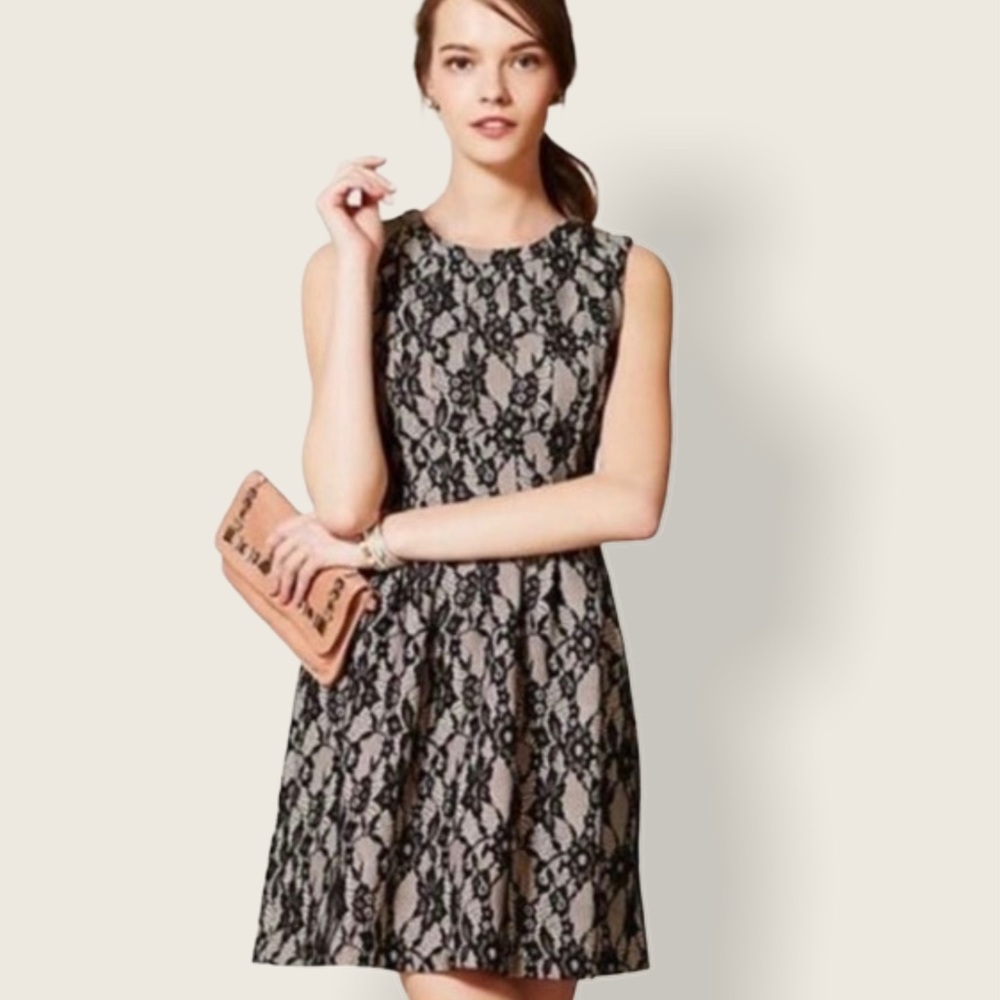 Anthropologie HD in Paris Violante Lace Dress Sz S